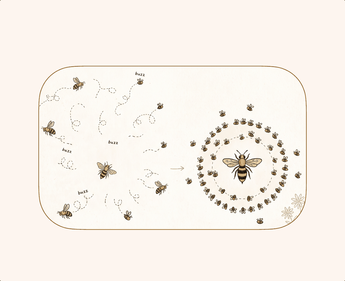 A line drawing: on the left, bees flying in every direction along looping dotted trails, each marked buzz; on the right, the same bees settled in two rings around a single large queen bee