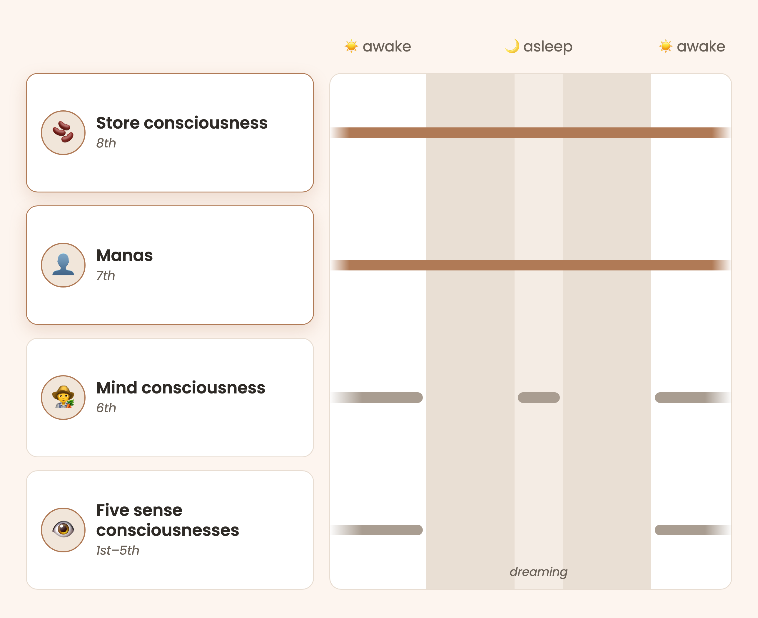 A chart of which consciousnesses never stop. Four rows: store consciousness, manas, mind consciousness, five sense consciousnesses. Across a day, a night and the next morning, the store and manas rows are unbroken clay lines. The mind consciousness row is grey and stops at sleep, returns briefly in a band marked dreaming, then resumes on waking. The five senses row stops for the whole night.