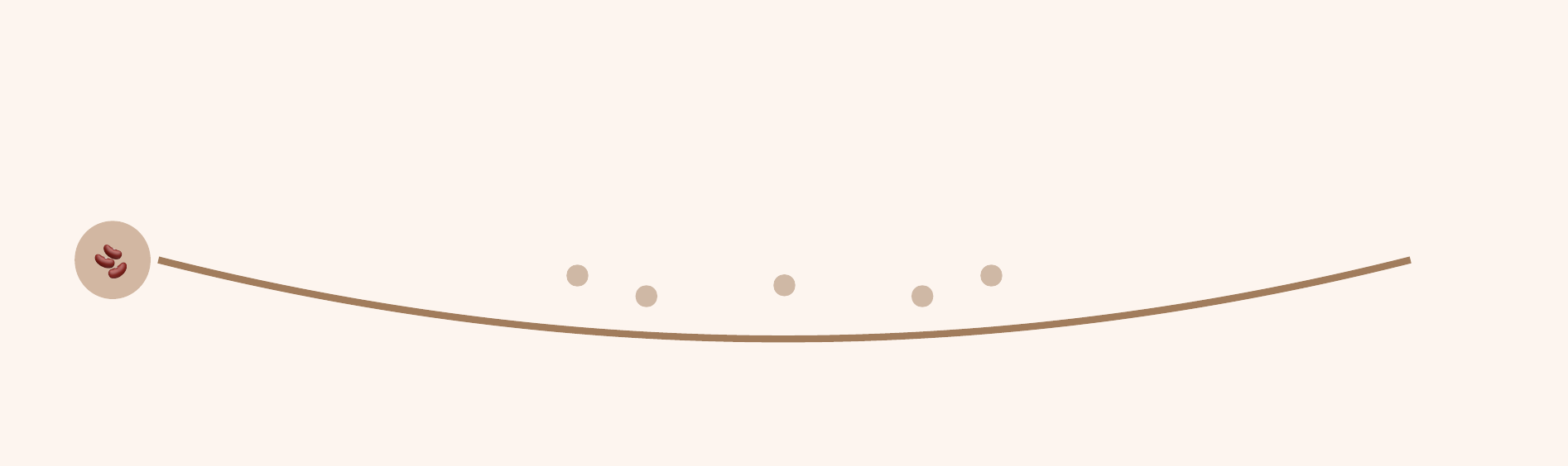 A single brown curved line with a circle holding three beans at its left end, and five small pale dots resting along it